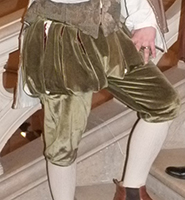 Vignette de la culotte Renaissance