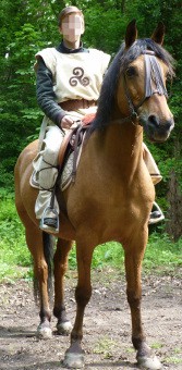 Vignette du costume de Tugdual l’Inflexible